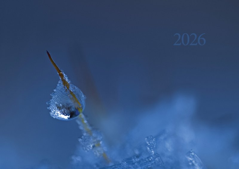 Projekte &raquo; Kalender 2026